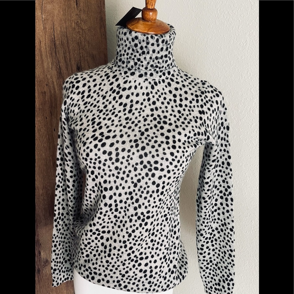 COPY - Cashmere Table Turtleneck NWT